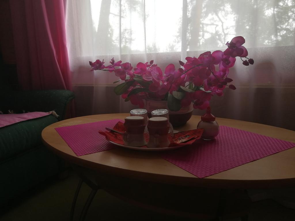 Hotel Villa Vanessa Siltakyla Ngoại thất bức ảnh